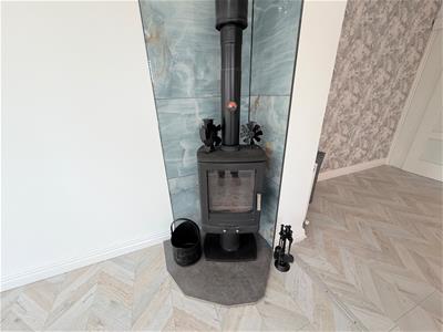 Picture 12